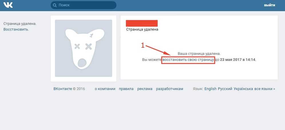Что означает профиль удален. что значит удаленный профиль на вконтакте и одноклассниках: расширенный обзор