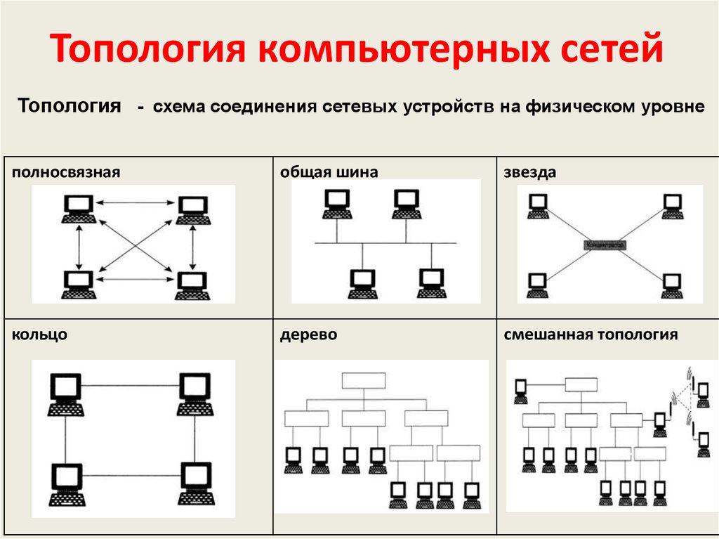 Организация сети является одним из основных аспектов обеспечения связи и передачи данных в компьютерных системах В зависимости от задач и потребностей