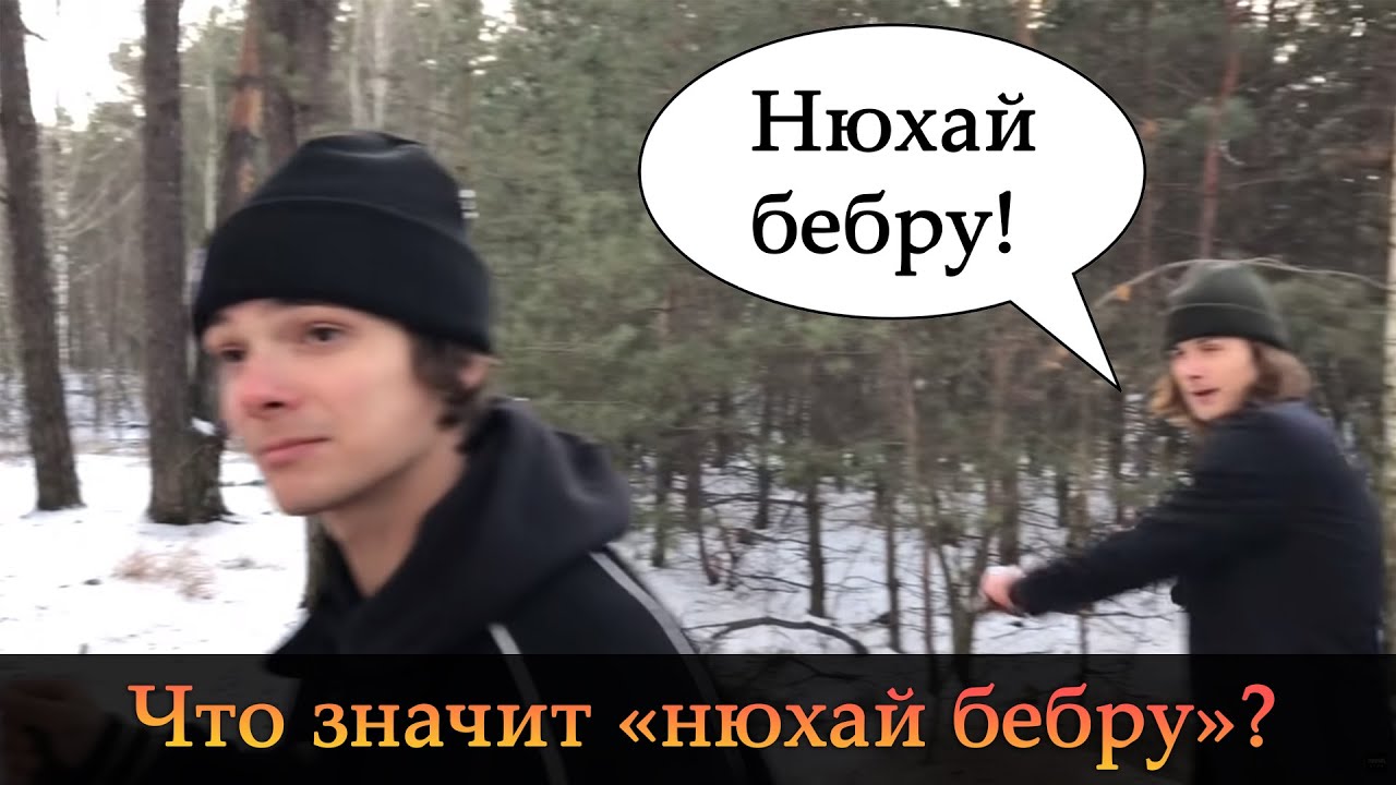 Как накрутить подписчиков в вк: 27 проверенных сервисов [2024]