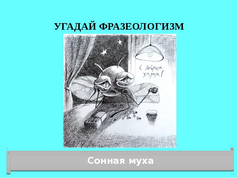 Значение фразеологического выражения "как сонная муха"