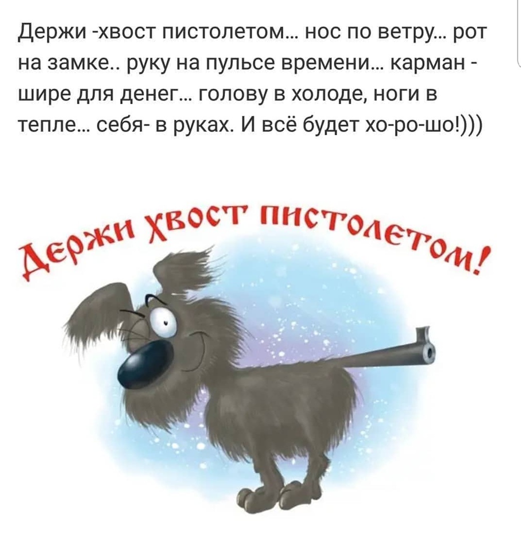 Выражение держи нос по ветру хвост пистолетом является популярным поговоркой которая широко используется в повседневной речи Она имеет не только