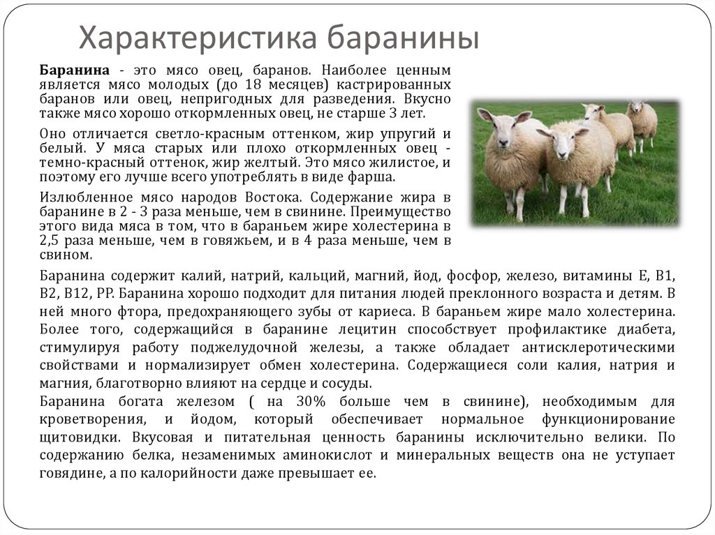 Бараний вес - сколько килограммов в народной речи? - skazhemtut.ru