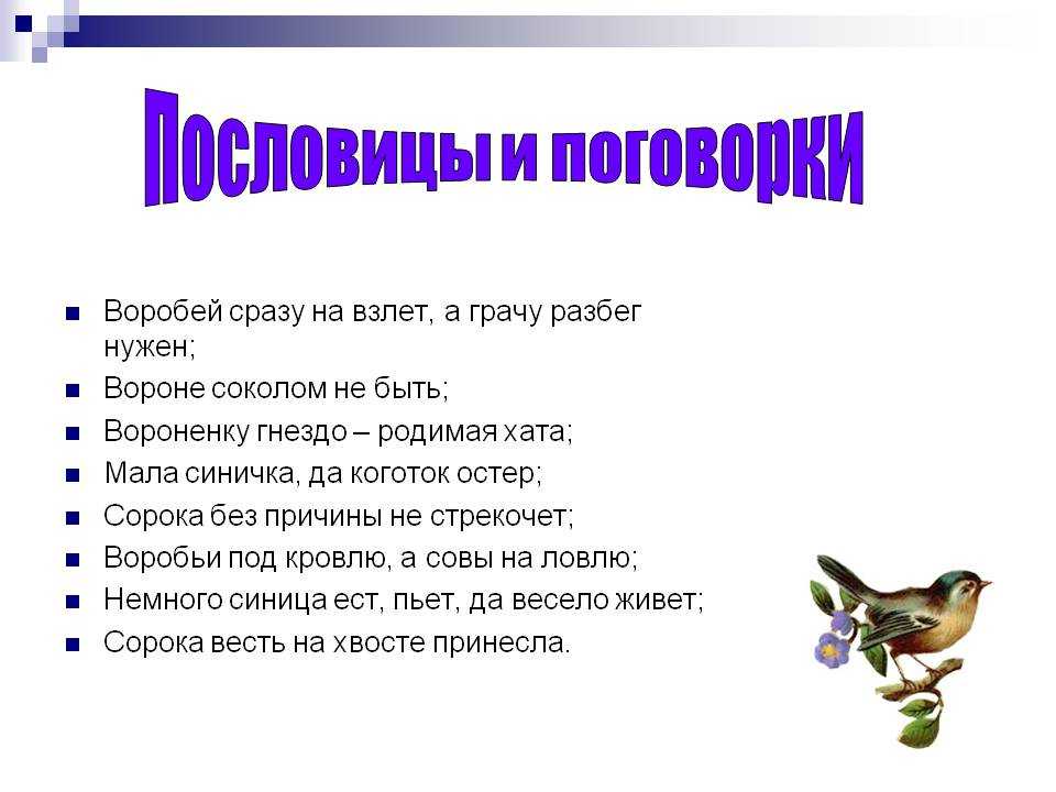 Русские пословицы отражающие речевое поведение