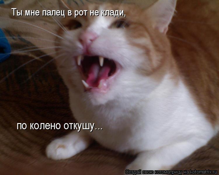 Что означает фразеологизм "дать по шапке": разъяснение и примеры использования