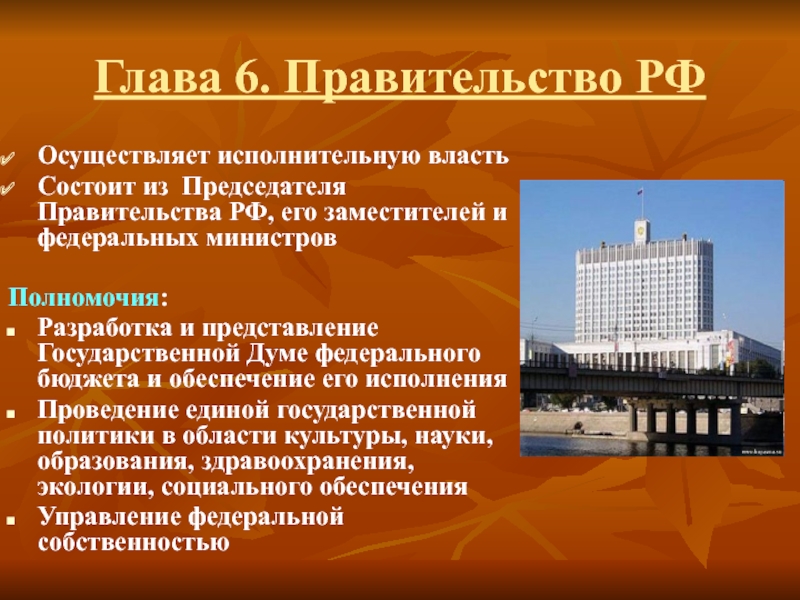 Дирекция института - прецедентное решение суда определяет ее статус в качестве органа исполнительной власти - questsexpert.ru