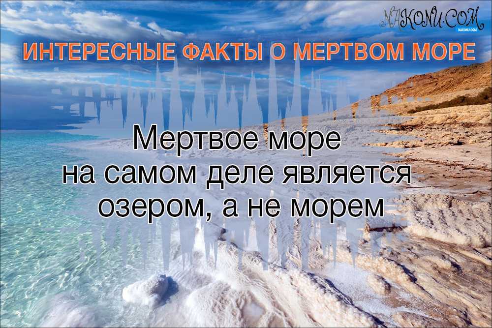 Сколько процентов поверхности земли занимает мировой океан?